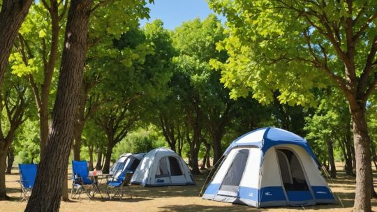 Camping à Avrillé : Découvrez les Charmes de la Vendée pour des Vacances Vivifiantes