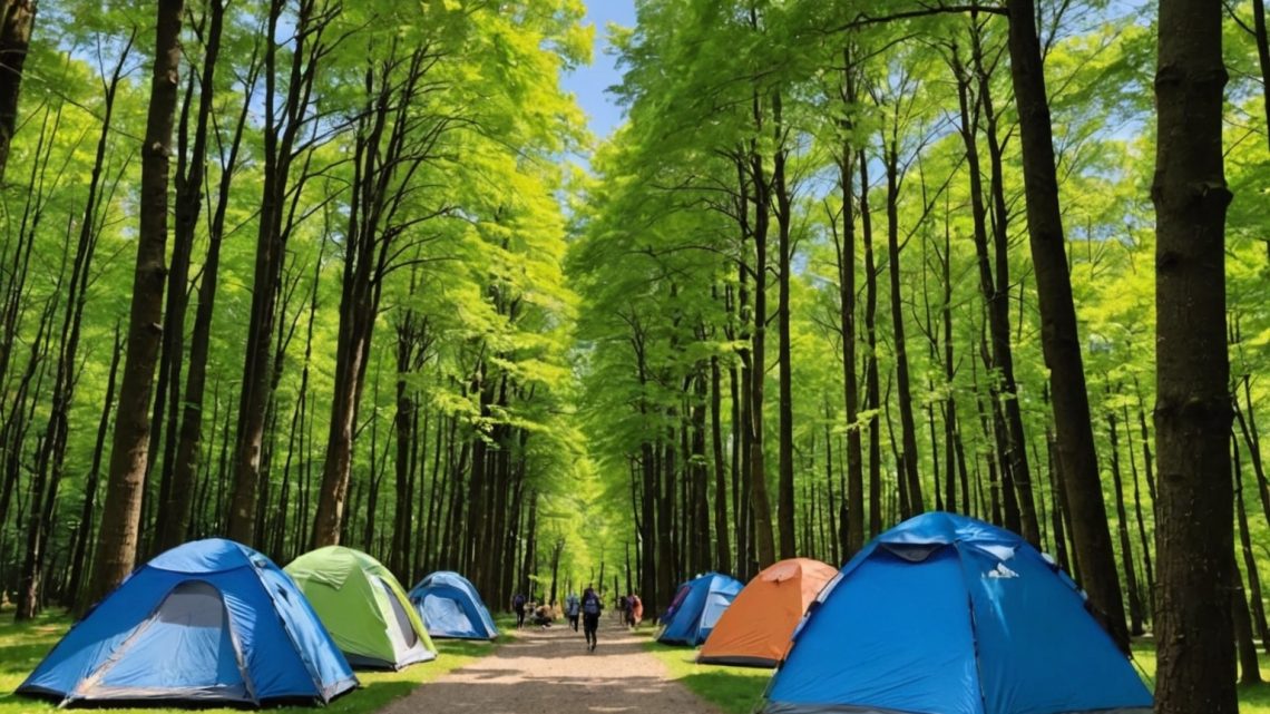 Top Campings au Pays Basque pour des Vacances Familiales Inoubliables | Guide Complet